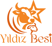 yıldız_besi_175x154